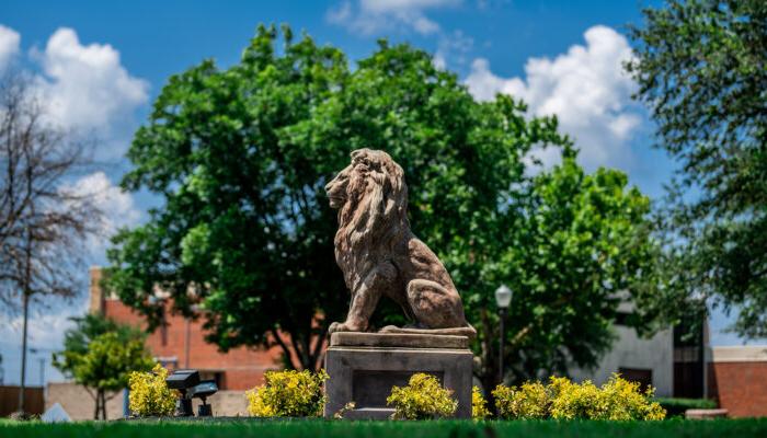 TAMUC lion statue